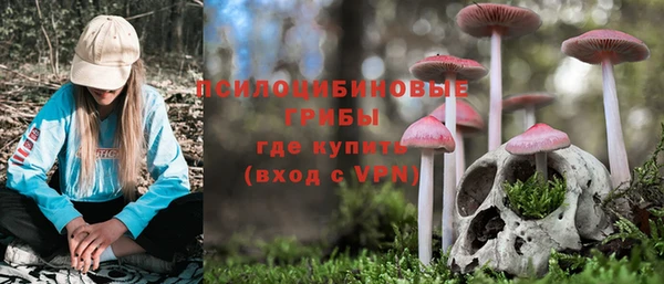 дмт Балабаново